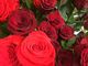 Blumen Heid