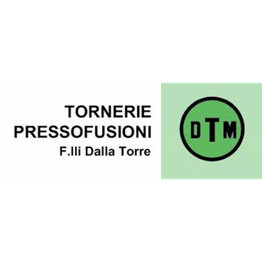 Dtm Pressofusioni logo