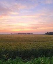 Law Offices of Patrick D Moren image 3