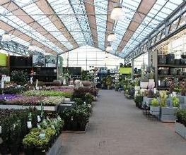 Intratuin Nuenen afbeelding 3