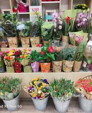 Intermarché station-service Aulnay image 6