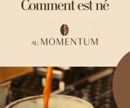 AU MOMENTUM Siggen Bild 10