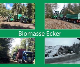 Biomasse Ecker GmbH&Co.KG Bild 7