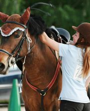 Poney Club Des Cinq Arpents image 1