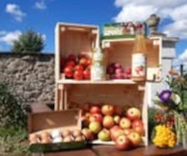 Budissa Landmarkt Bild 2