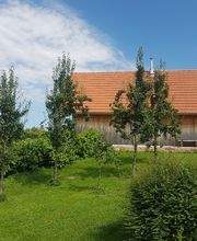 Andermichlhof Bild 5