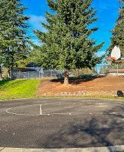 LGI Homes - Walnut Grove image 2