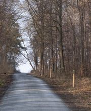 FriedWald Wolfenbüttel Bild 7