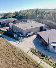 Manufacture de Granules image 2