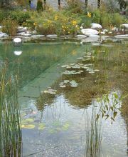 J.N. JARDINS NATURELS CHAVORNAY SA Bild 6