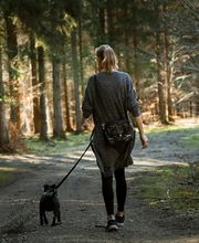 TECKEL CANELA - PASEADOR CANINO S.L. imagen 1