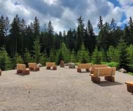 Andachtsplatz im FriedWald Badener Höhe