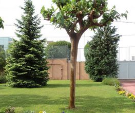 colegio-infantil-la-inmaculada-aprendizaje-01.jpg