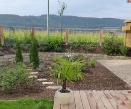 Stark im Garten Bild 34
