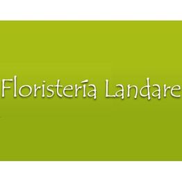 logo_floristerialandare.jpg
