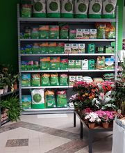 Bricomarché Langoiran image 13