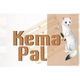 Kema Pal