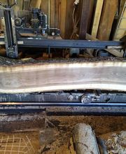 🌲 Segheria Lombardi Sagl 🌲 Bild 4