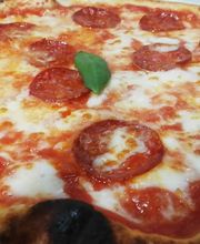 Gallery Professionale