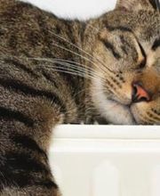 Eco-Logis 37 image 9