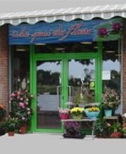 Au Quai des Fleurs image 1