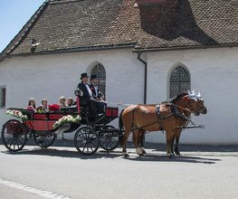 Kutschenerlebnis Bild 2