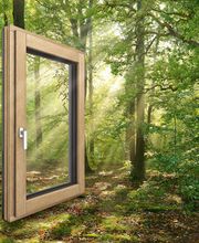 Windows Schwarz GmbH Bild 7