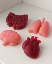 The Bold Bliss Bild 5