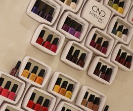 Gallery Cliente