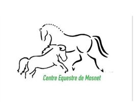 Centre Equestre de Mosnet image 2