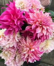 Guyard Benoît image 13