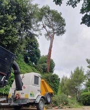 Alp'azur Elagage image 8