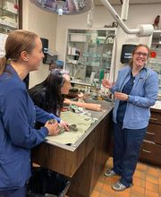 Town & Country Veterinary Clinic image 14