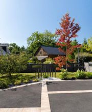 Ameline Arbora image 6