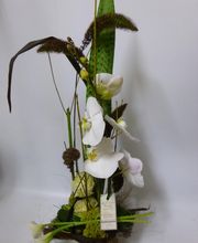 Art et Création Pervenche image 8