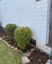 IMG_9565.jpeg