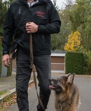 Leinenfuehrigkeit_sieht_so_aus.