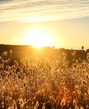 Presqu'Ile D'images image 6