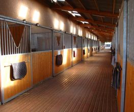 Centre Equestre De Sully image 8