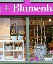 Fiegle Gärtnerei und Blumenhaus Bild 1