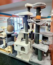 ZOOMALIA Foix 09 | Animalerie image 12