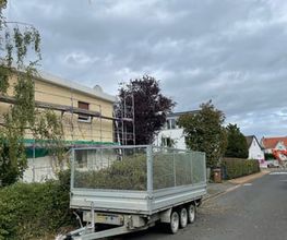 Baumdienst Herrmann Bild 11