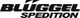Blüggel GmbH & Co. KG Spedition und Kfz.-Reparaturen