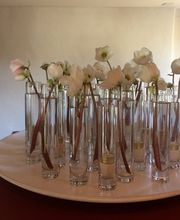 Blumen Diener Bild 13