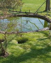 Holderegger Gartenservice Bild 1