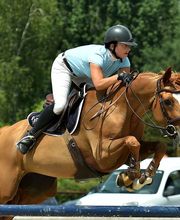 Ponte F SARL image 16