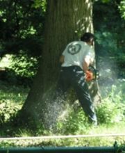 Jim's All Seasons, LLC image 2