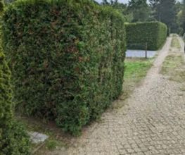 Robert Schöne Garten - und Bauservice Bild 3