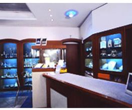 Gallery Cliente