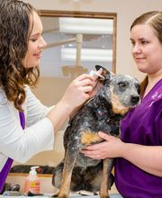 Westside Family Pet Clinic image 1